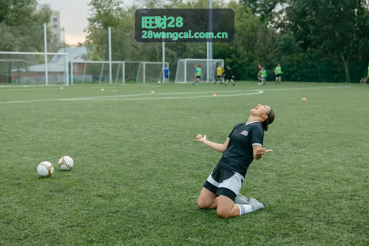 旺财28数据平台升级